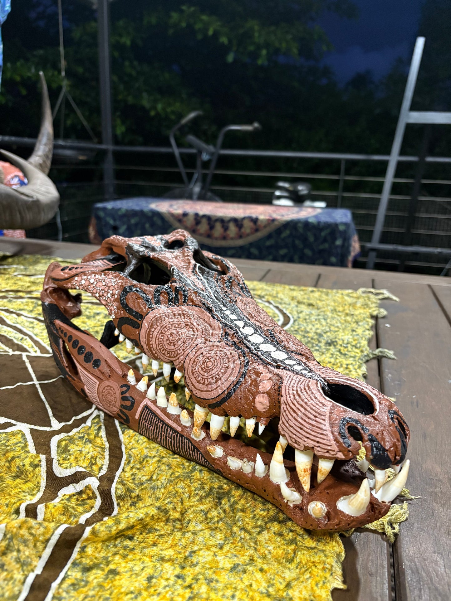 NT Crocodile Skull