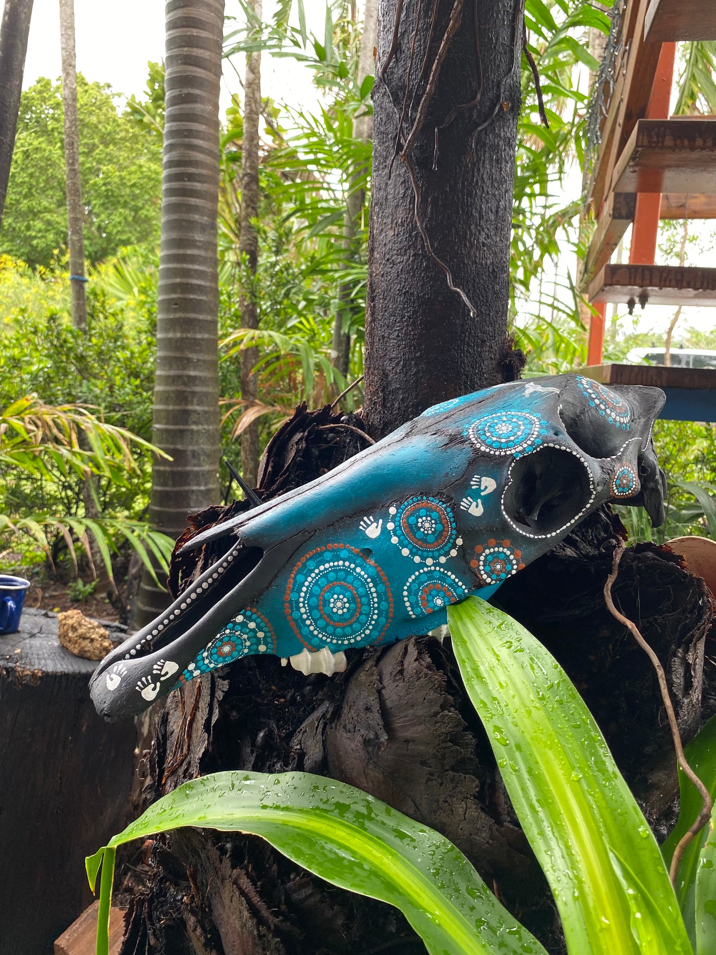 Connection_Horse Skull