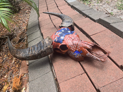 Australia Buffalo Skull Painting