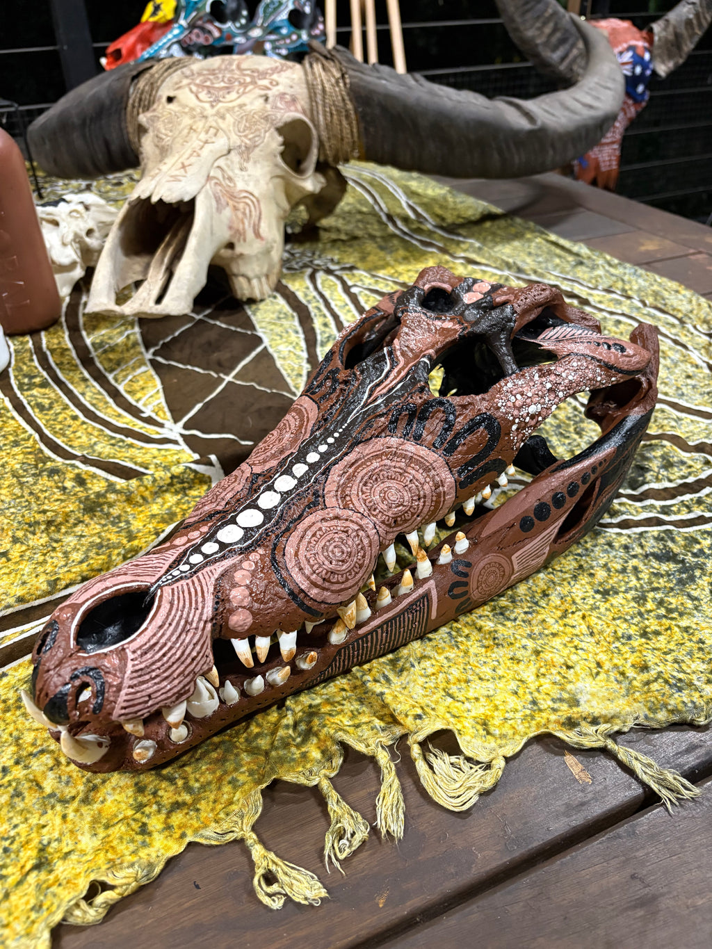 NT Crocodile Skull
