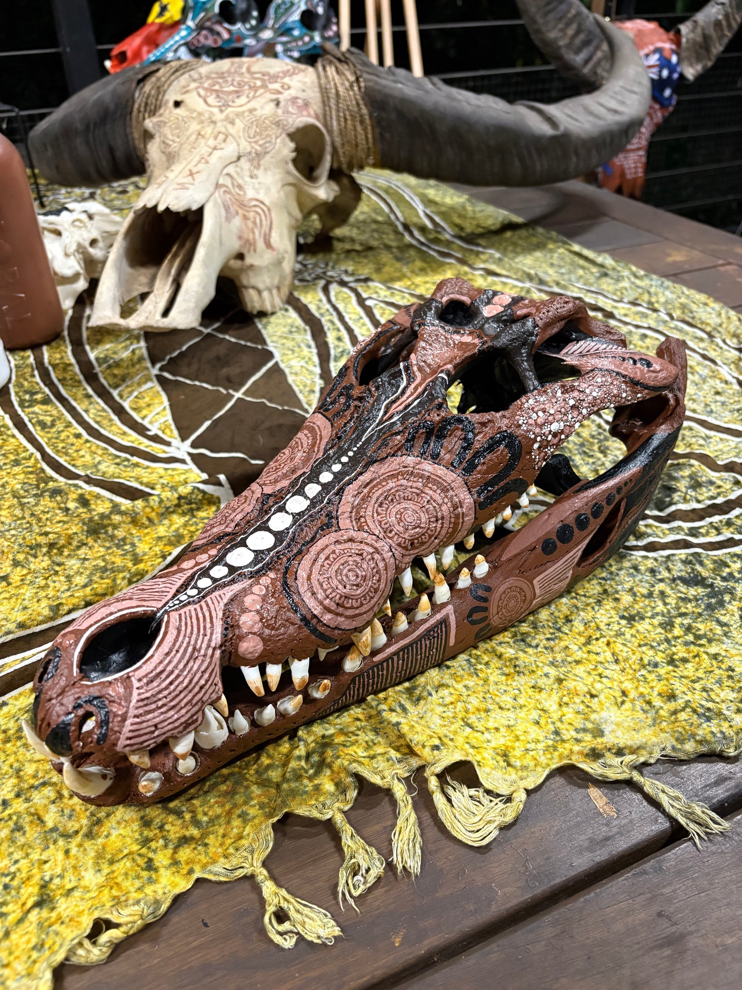 NT Crocodile Skull
