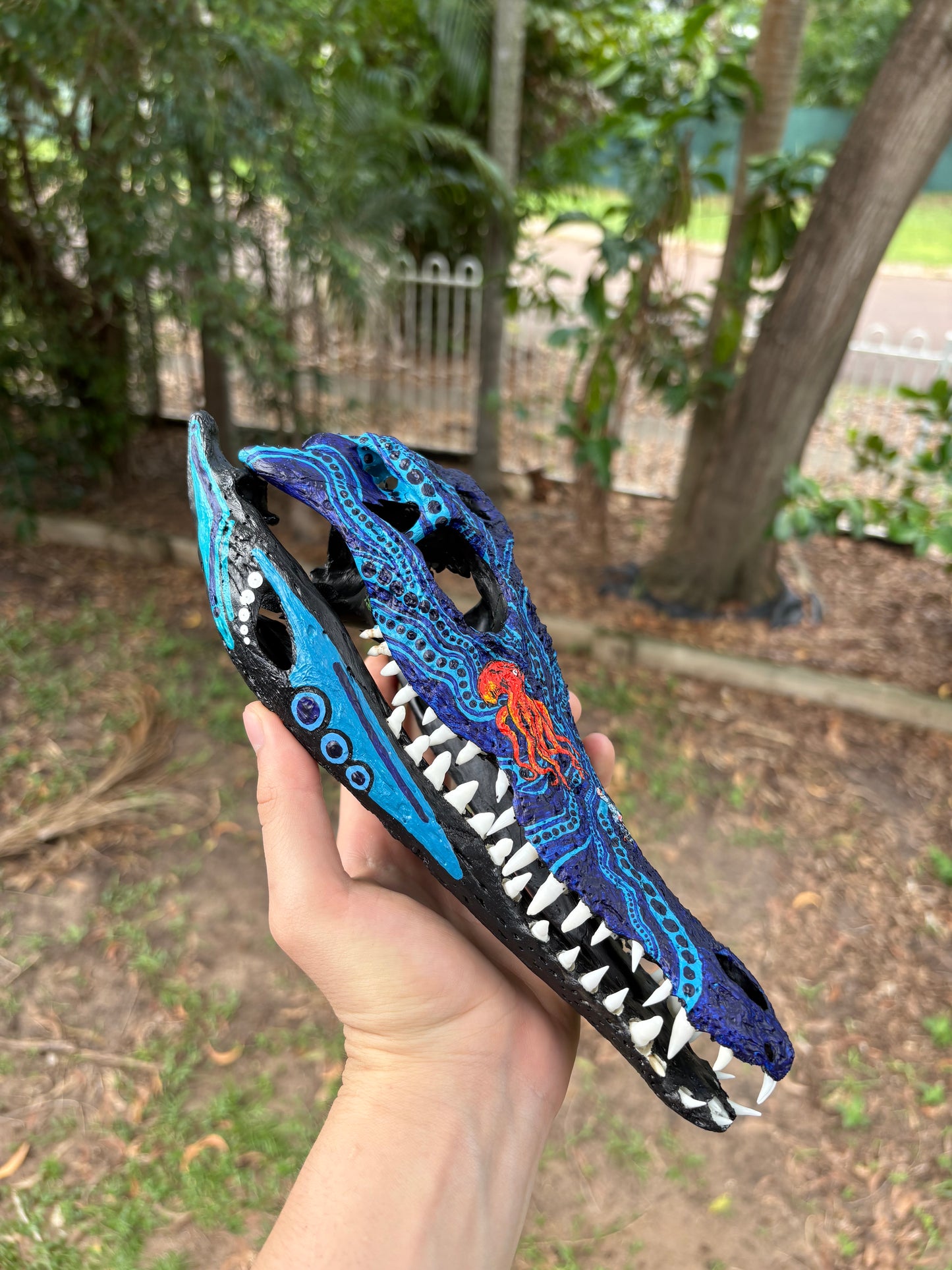 Commission Crocodile Skull; Animals