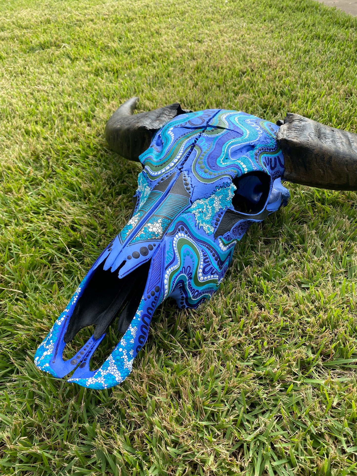 Buffalo Skull; Water