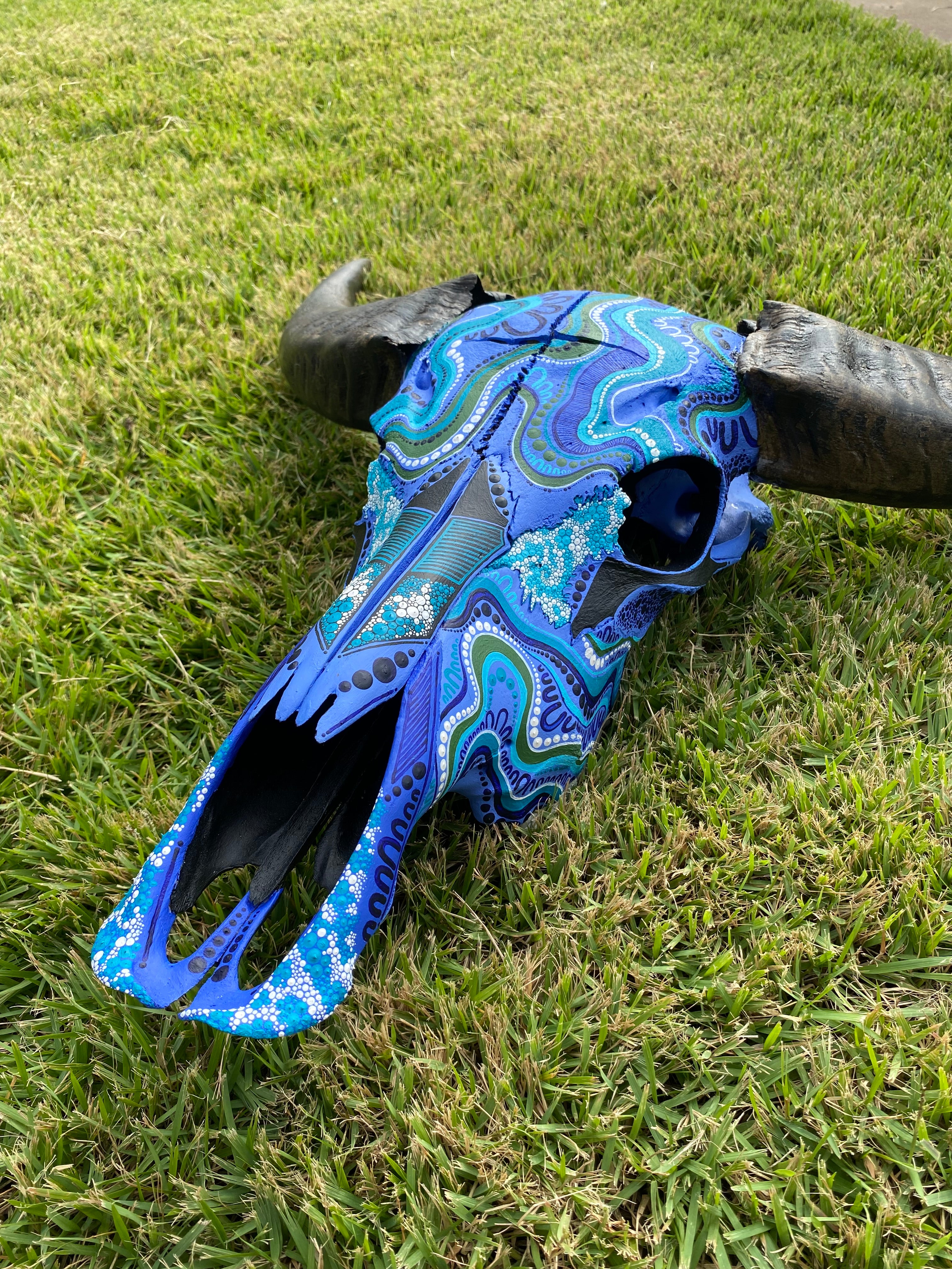 Buffalo Skull; Water