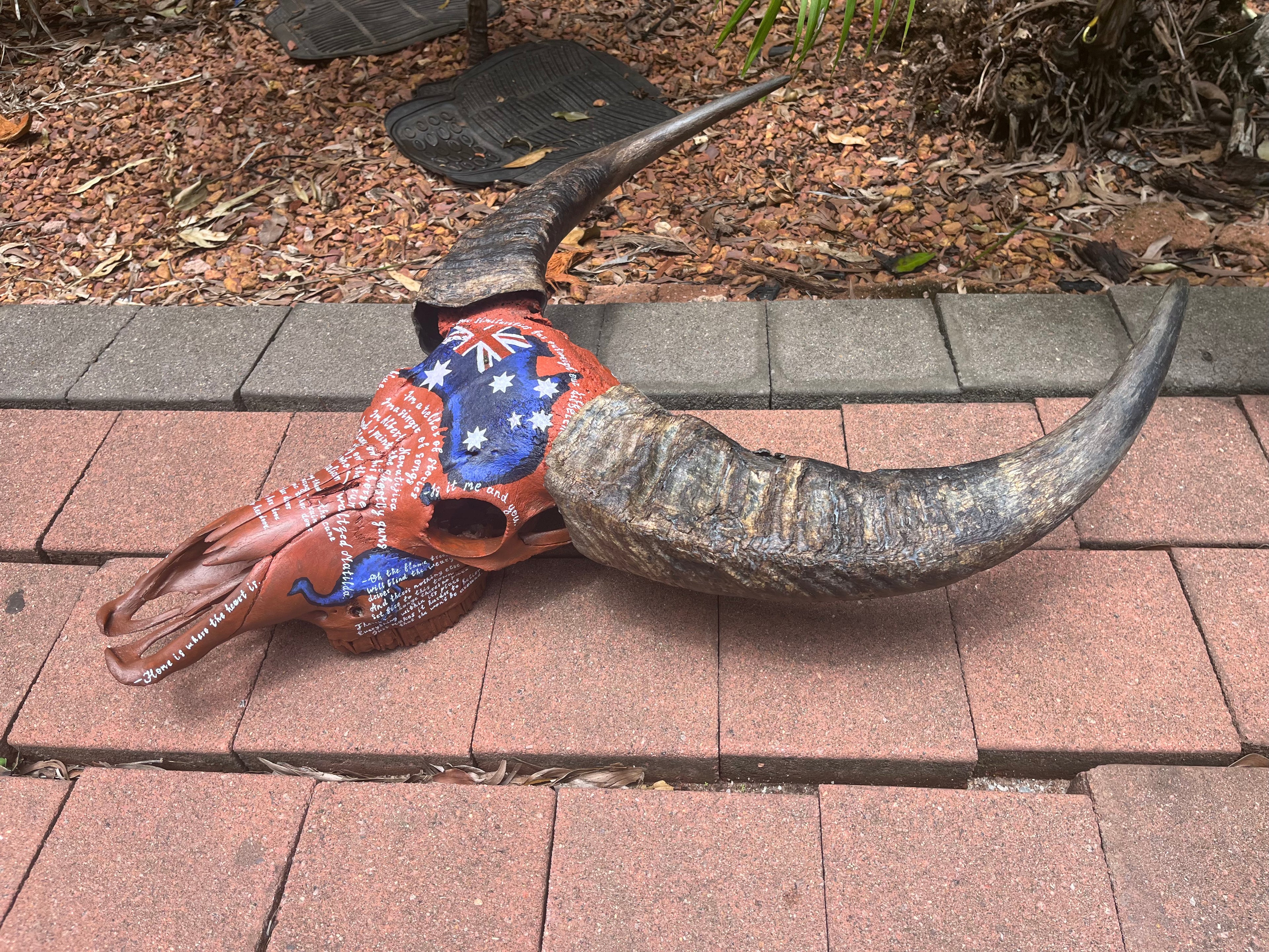 Australia Buffalo Skull Painting
