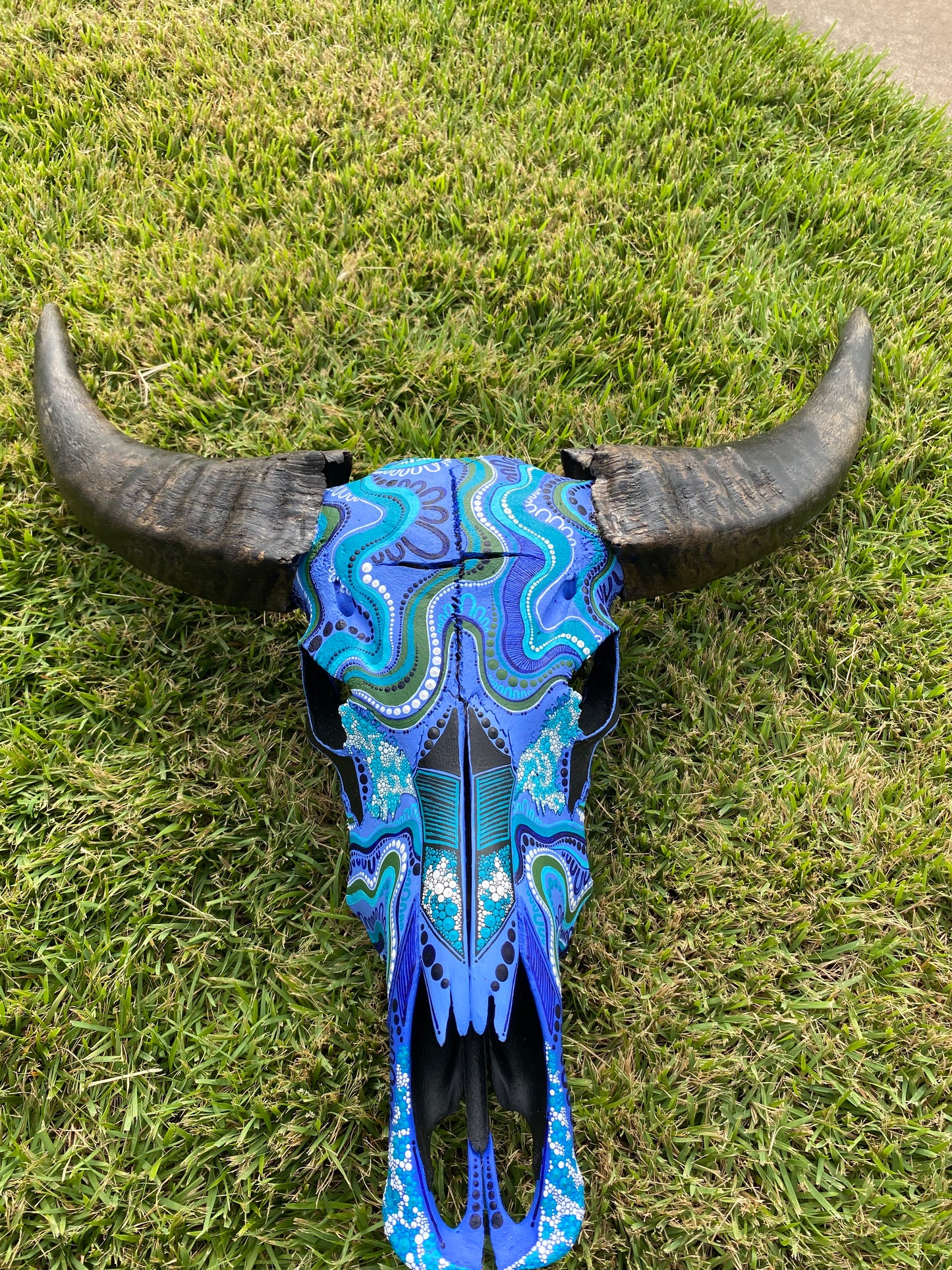 Buffalo Skull; Water