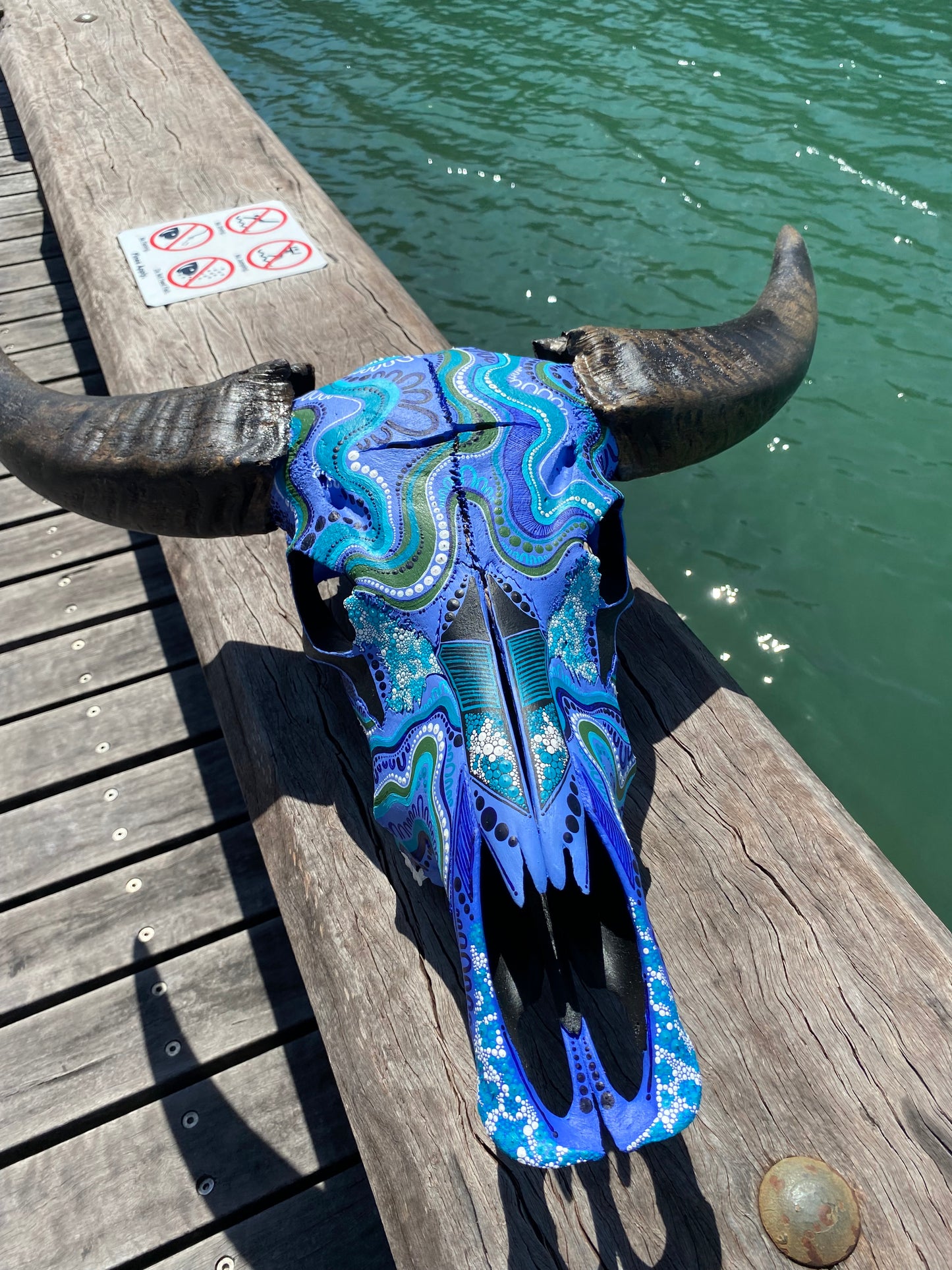 Buffalo Skull; Water