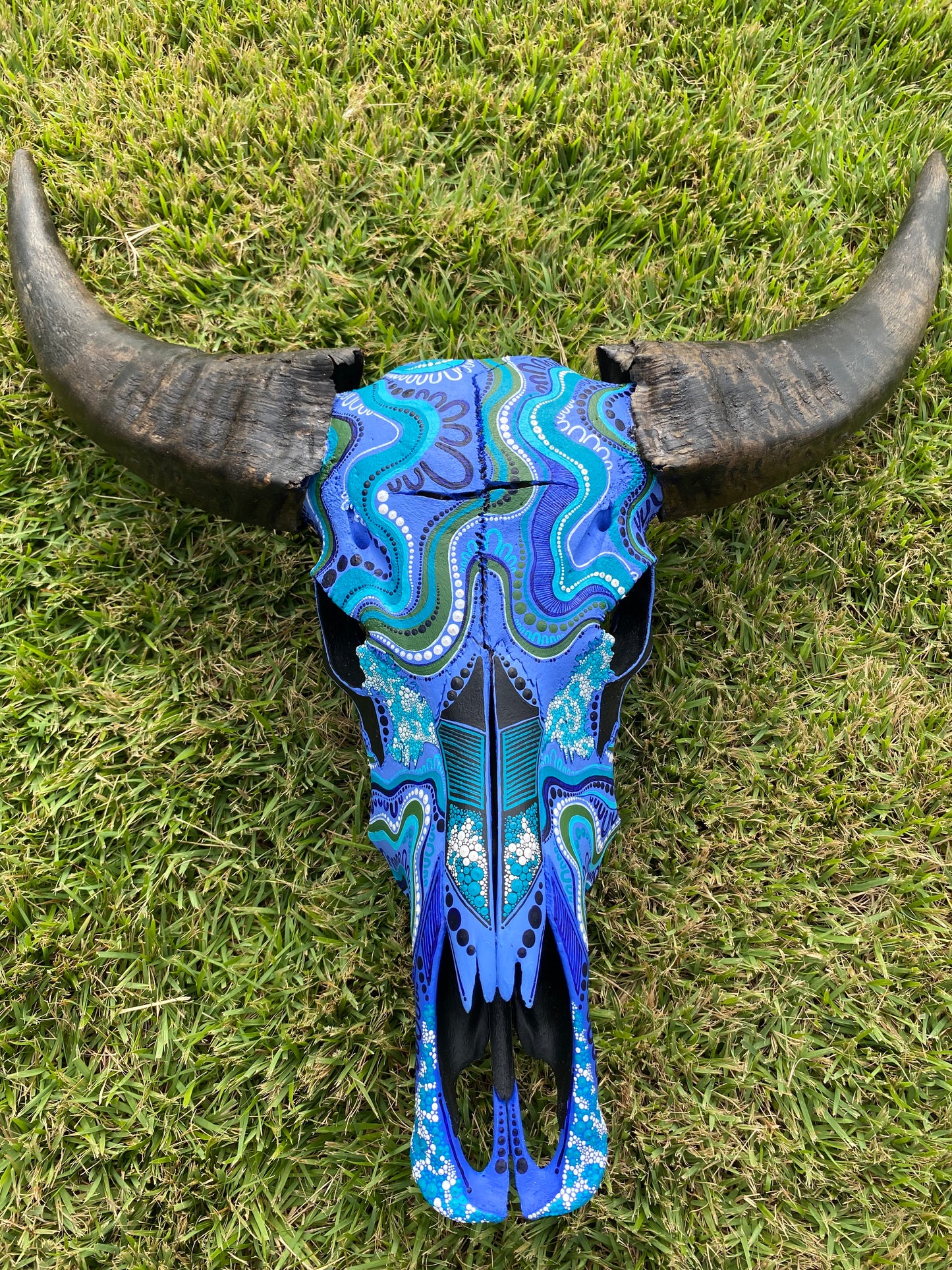 Buffalo Skull; Water