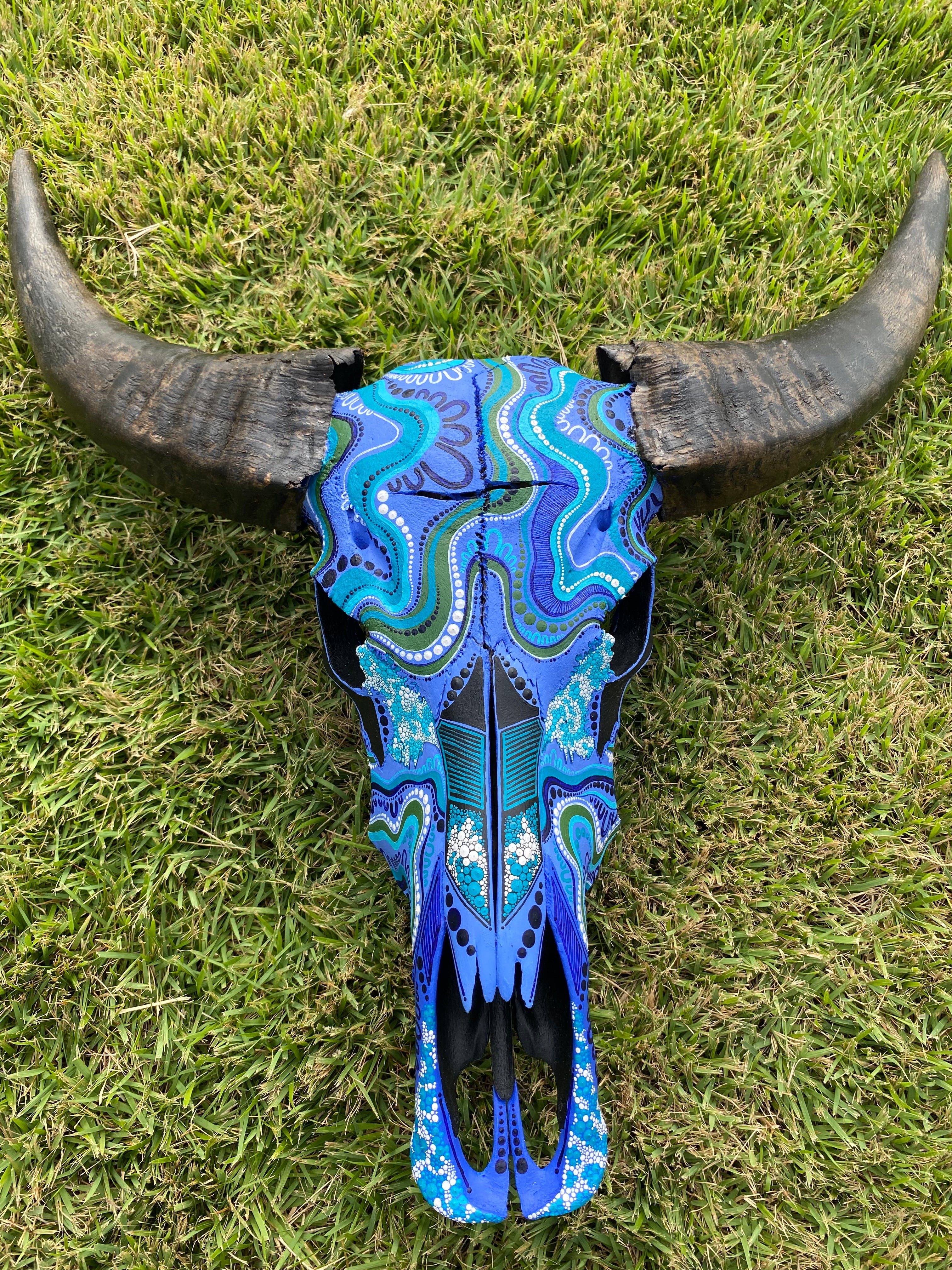 Buffalo Skull; Water