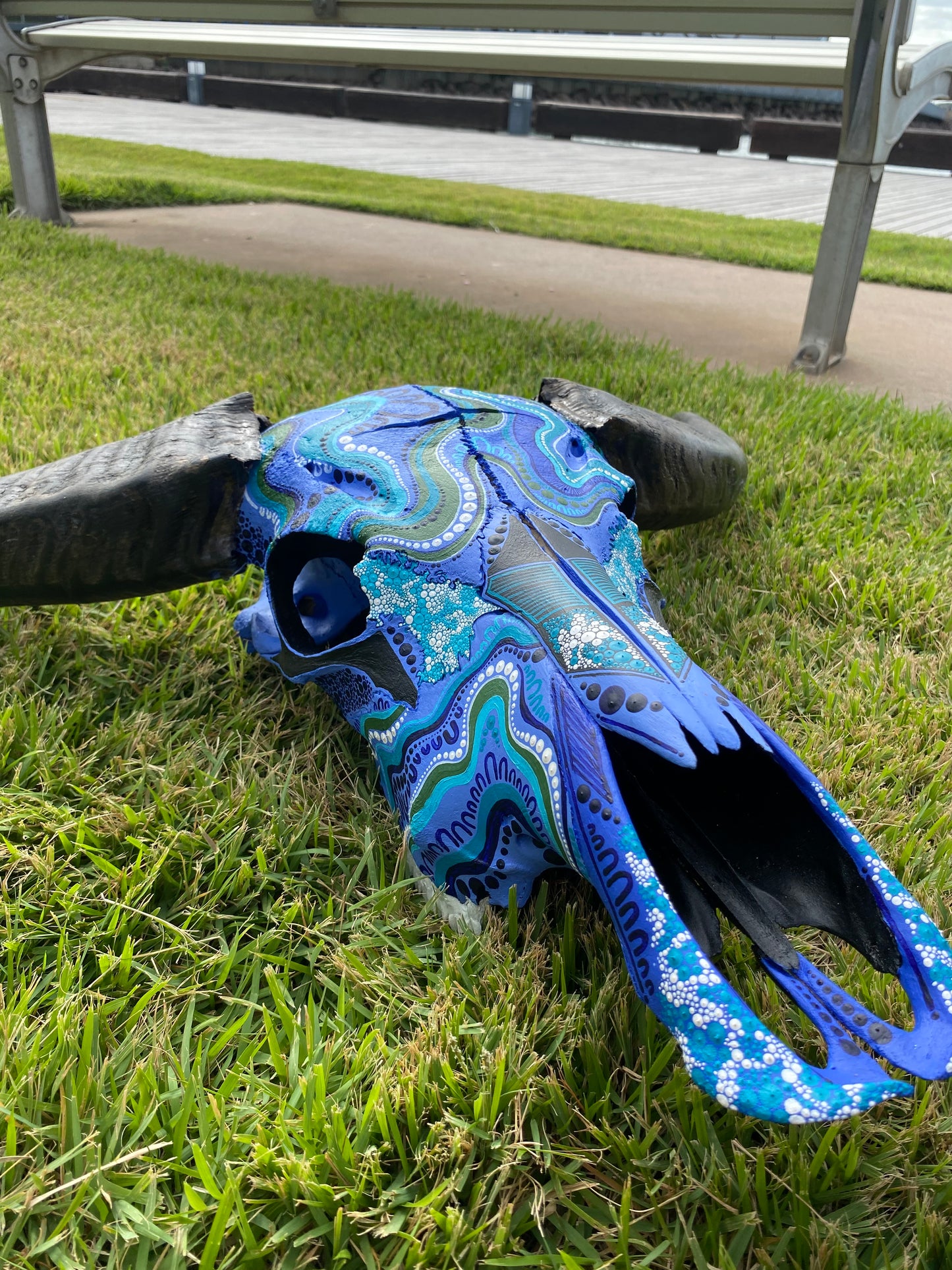 Buffalo Skull; Water