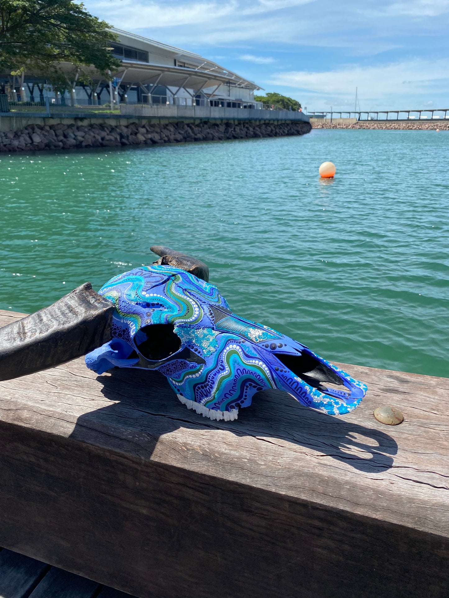 Buffalo Skull; Water