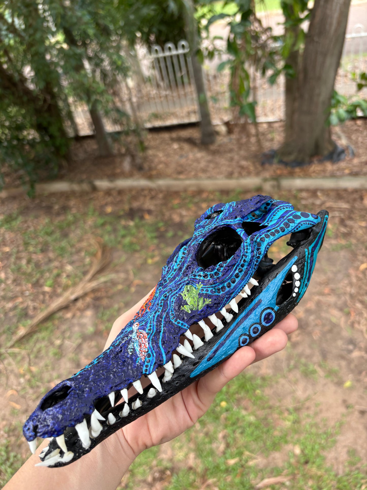 Commission Crocodile Skull; Animals