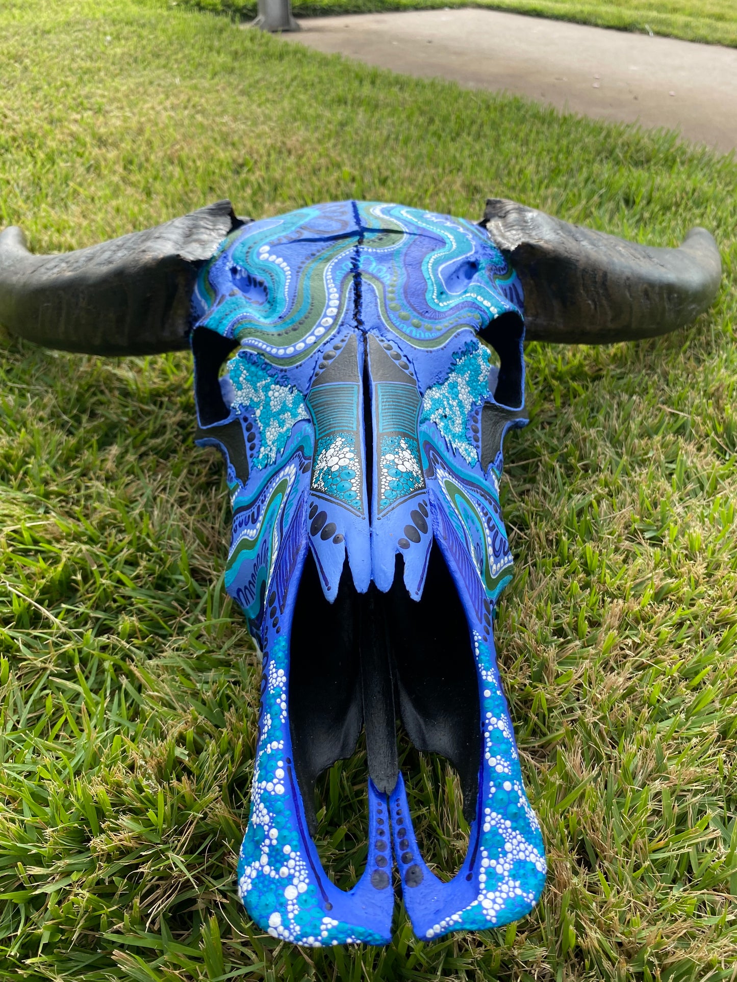 Buffalo Skull; Water