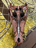 NT Crocodile Skull