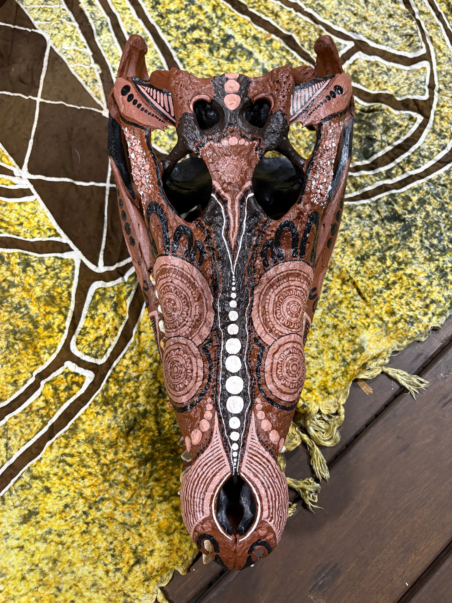 NT Crocodile Skull