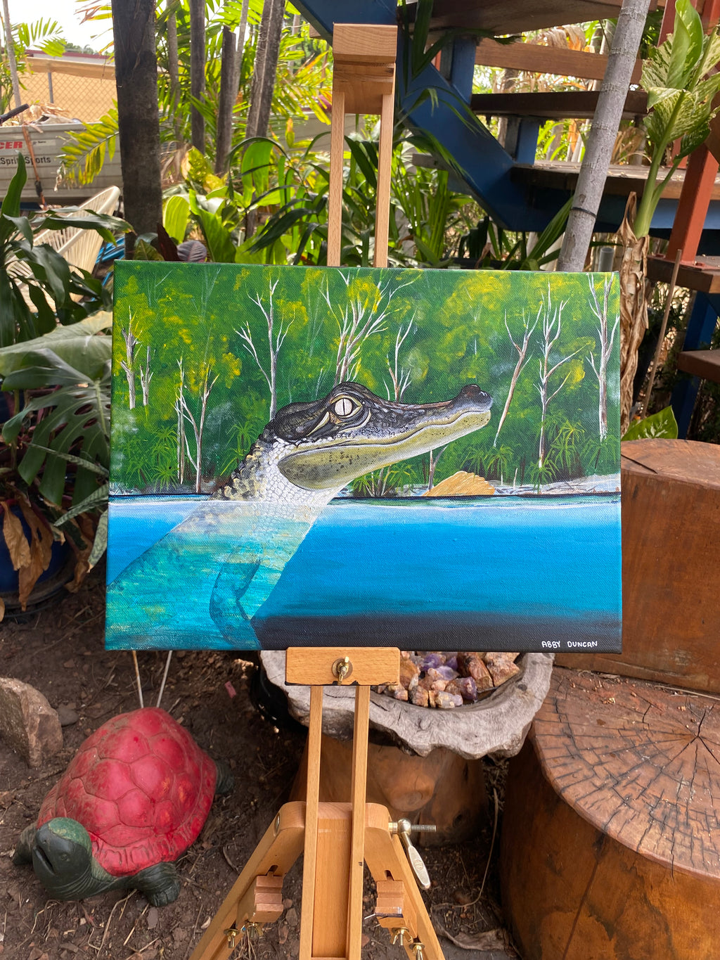 Jim Jim Falls Crocodile; Original Painting