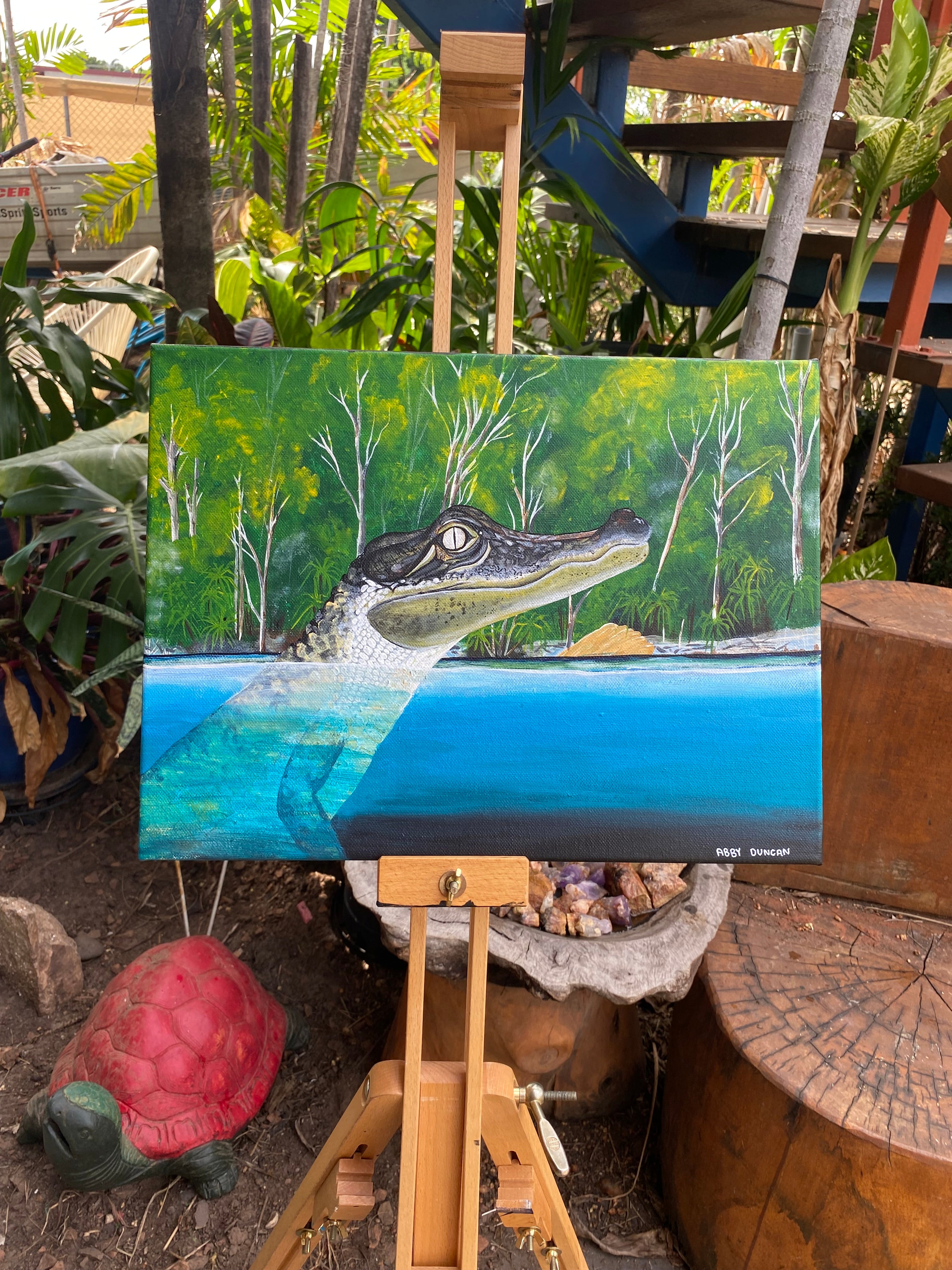 Jim Jim Falls Crocodile; Original Painting