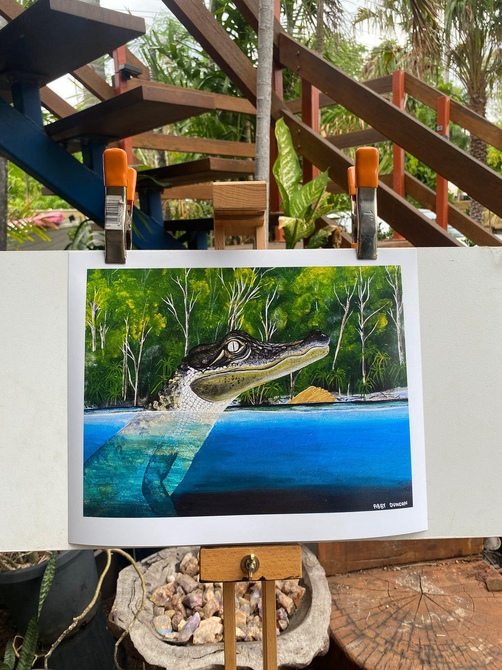 Jim Jim Falls Crcodile; PRINT