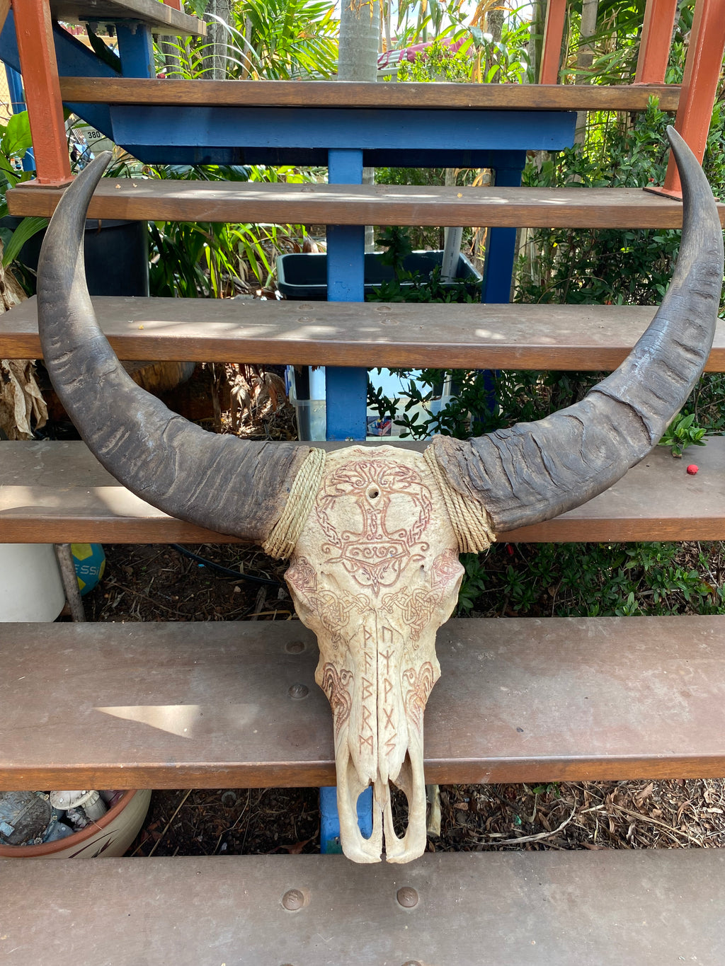 NT Buffalo Skull Carving