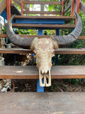 NT Buffalo Skull Carving