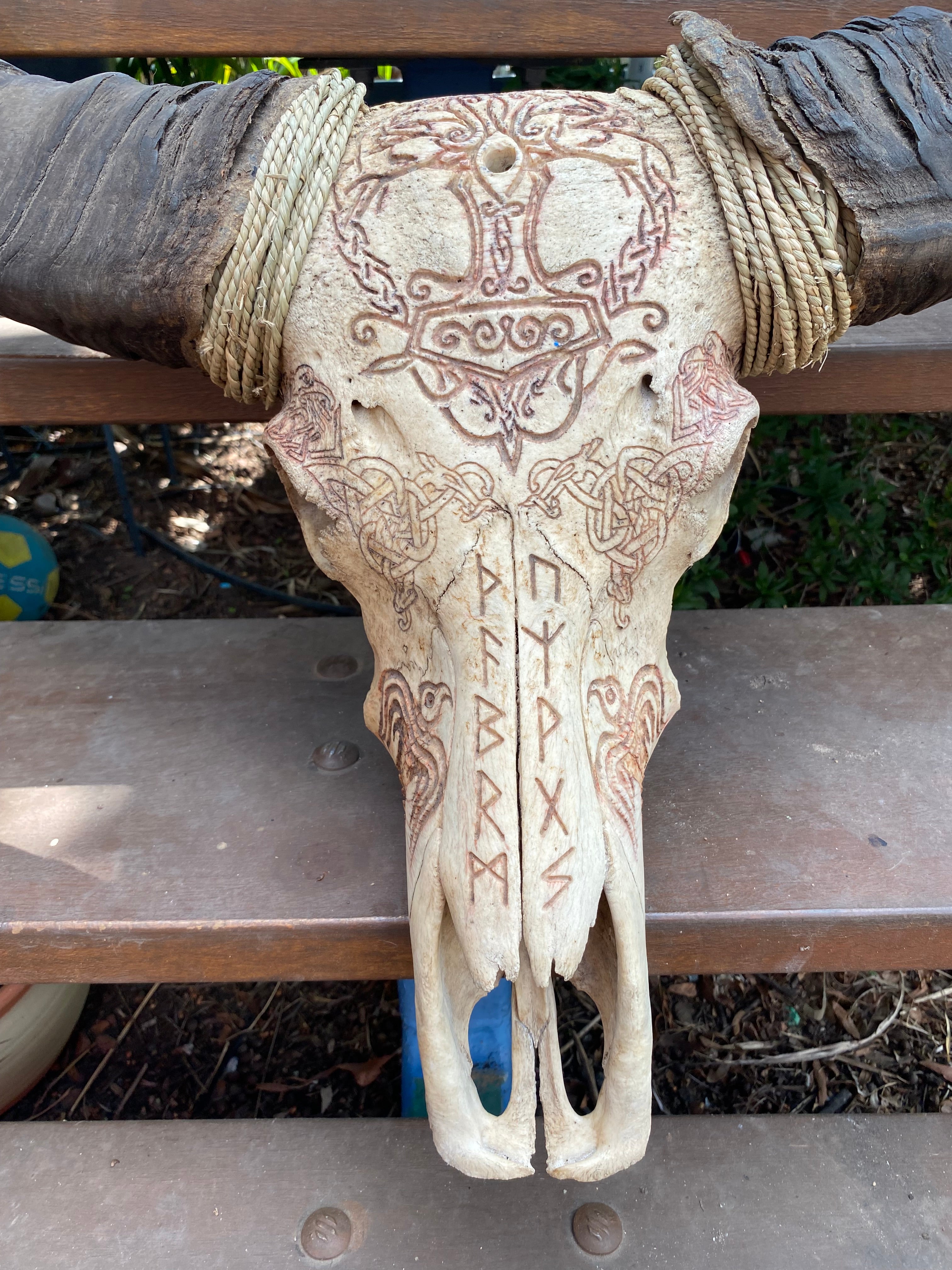 NT Buffalo Skull Carving