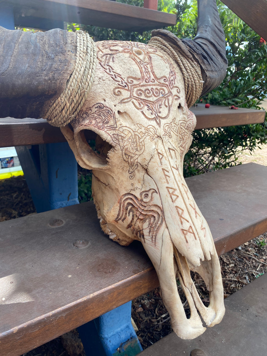 NT Buffalo Skull Carving