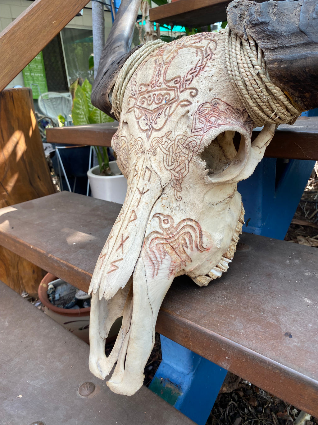 NT Buffalo Skull Carving