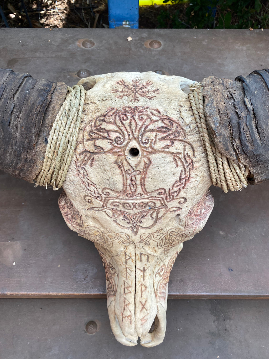 NT Buffalo Skull Carving