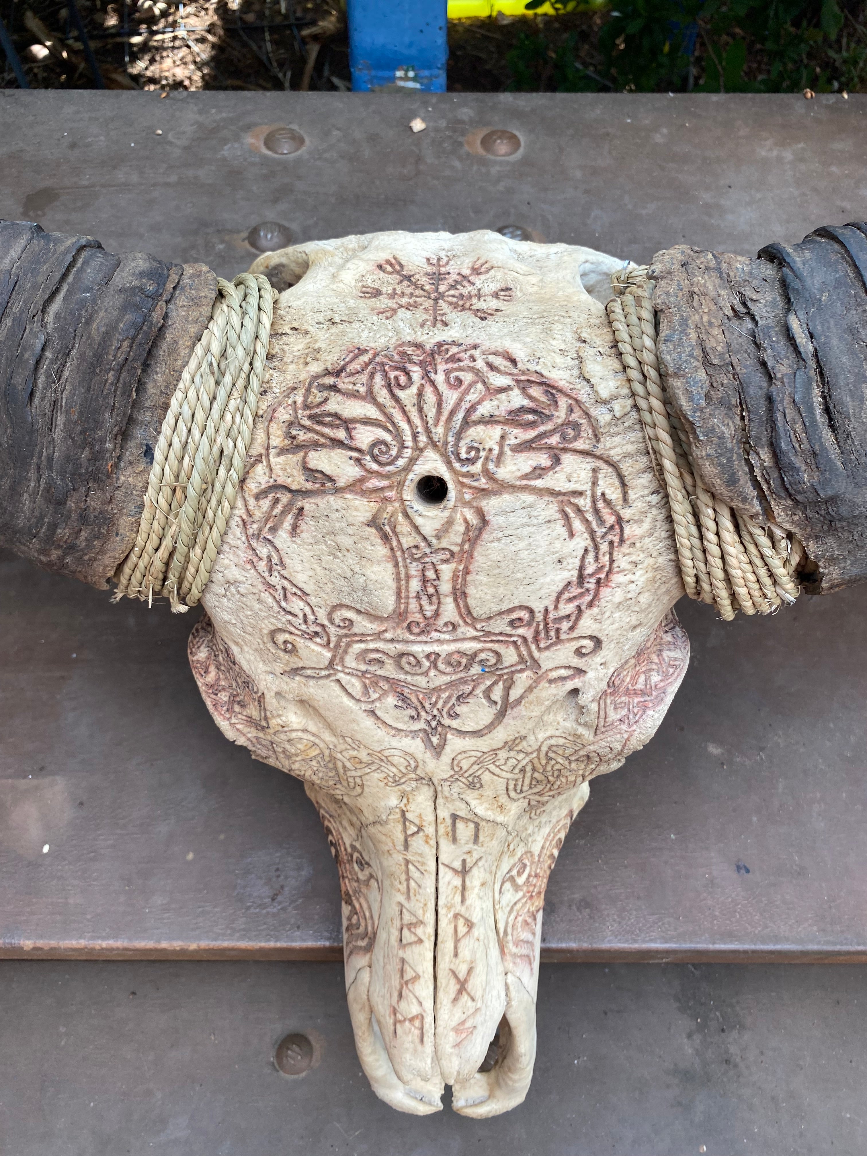 NT Buffalo Skull Carving