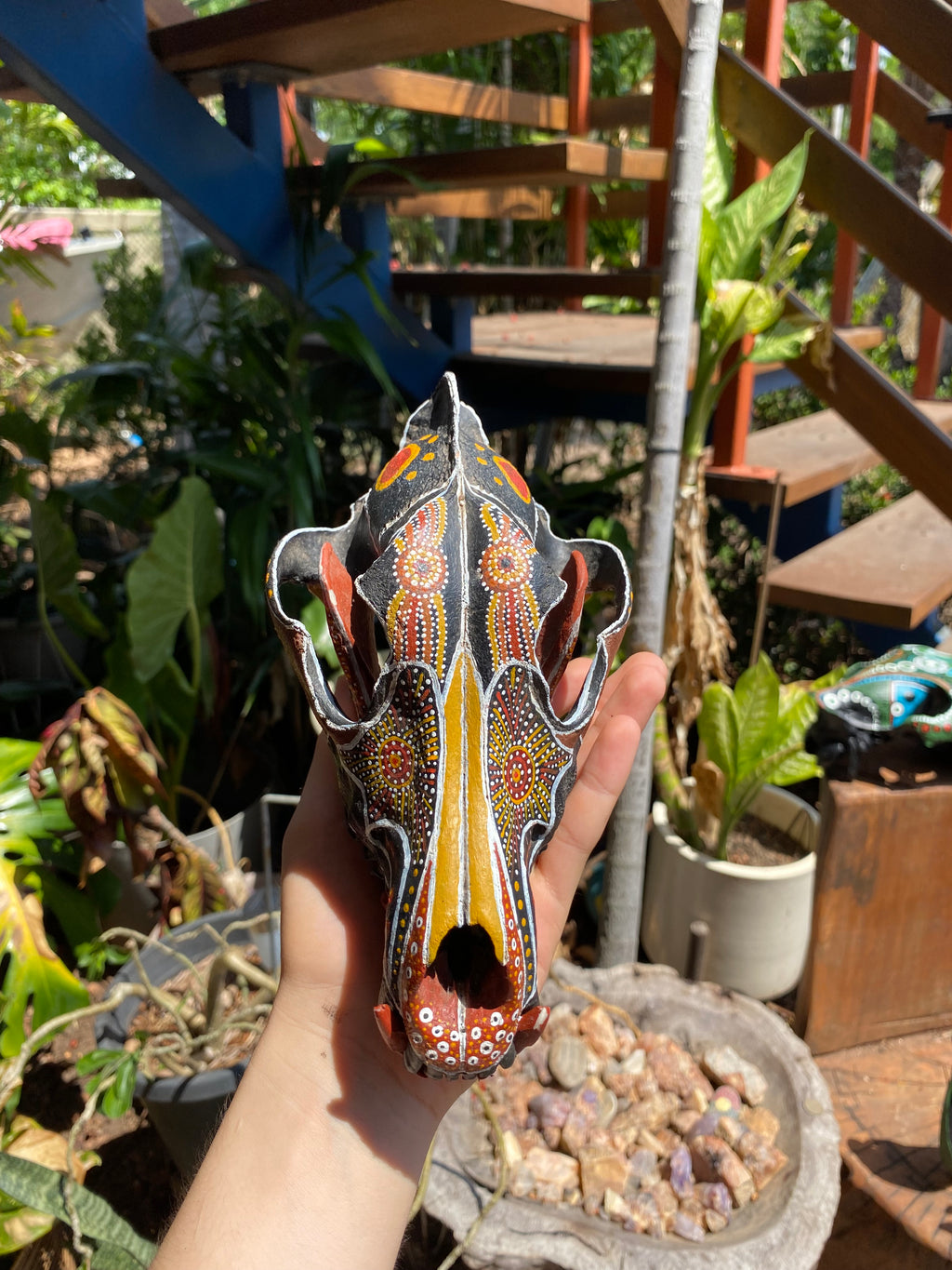 Dingo Skull Painting