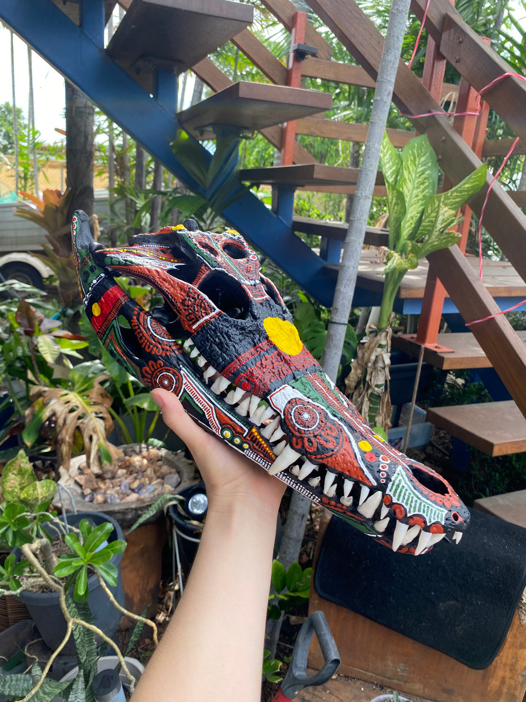 Commission Crocodile Skull; Aboriginal Flag
