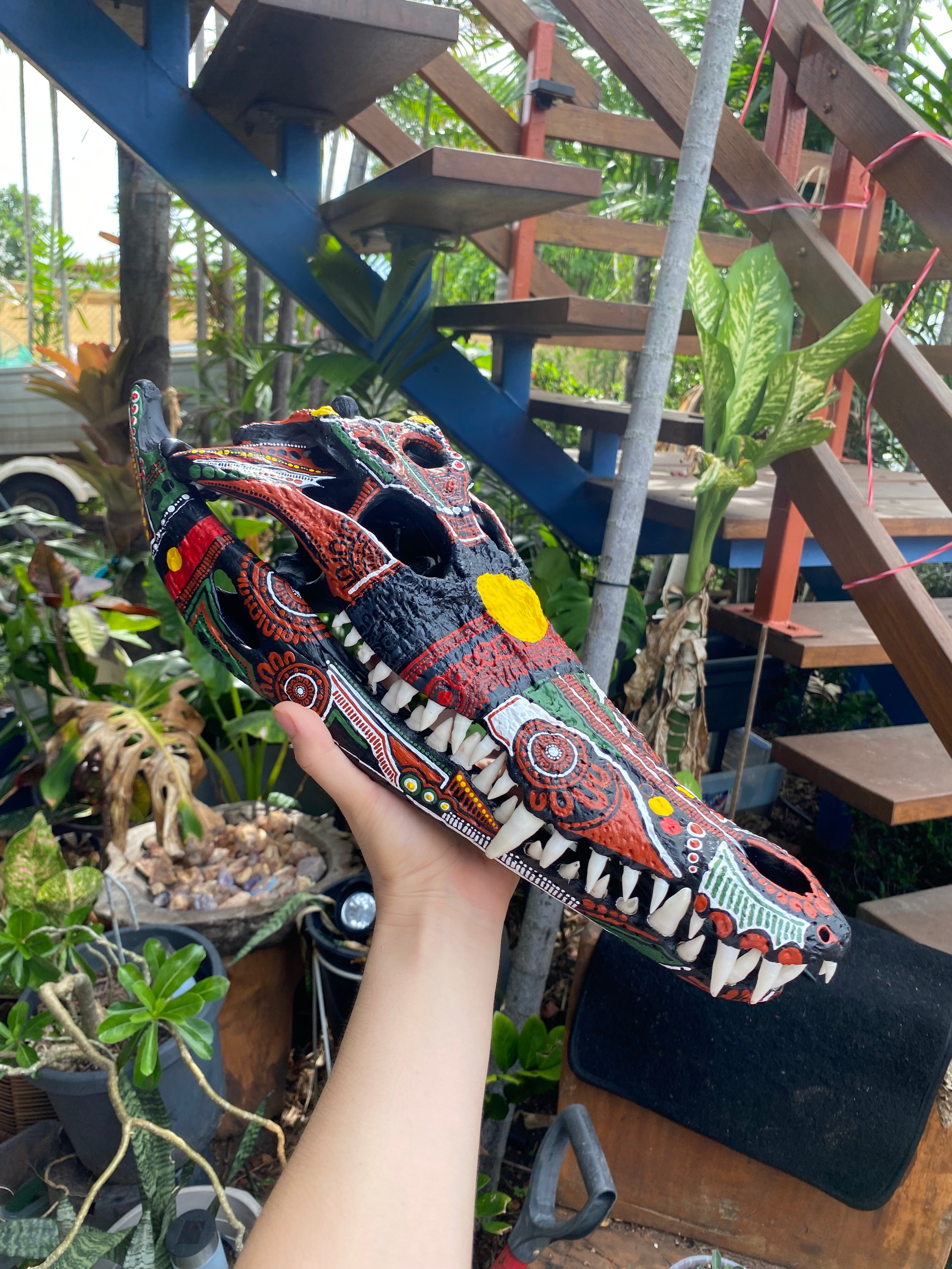 Commission Crocodile Skull; Aboriginal Flag