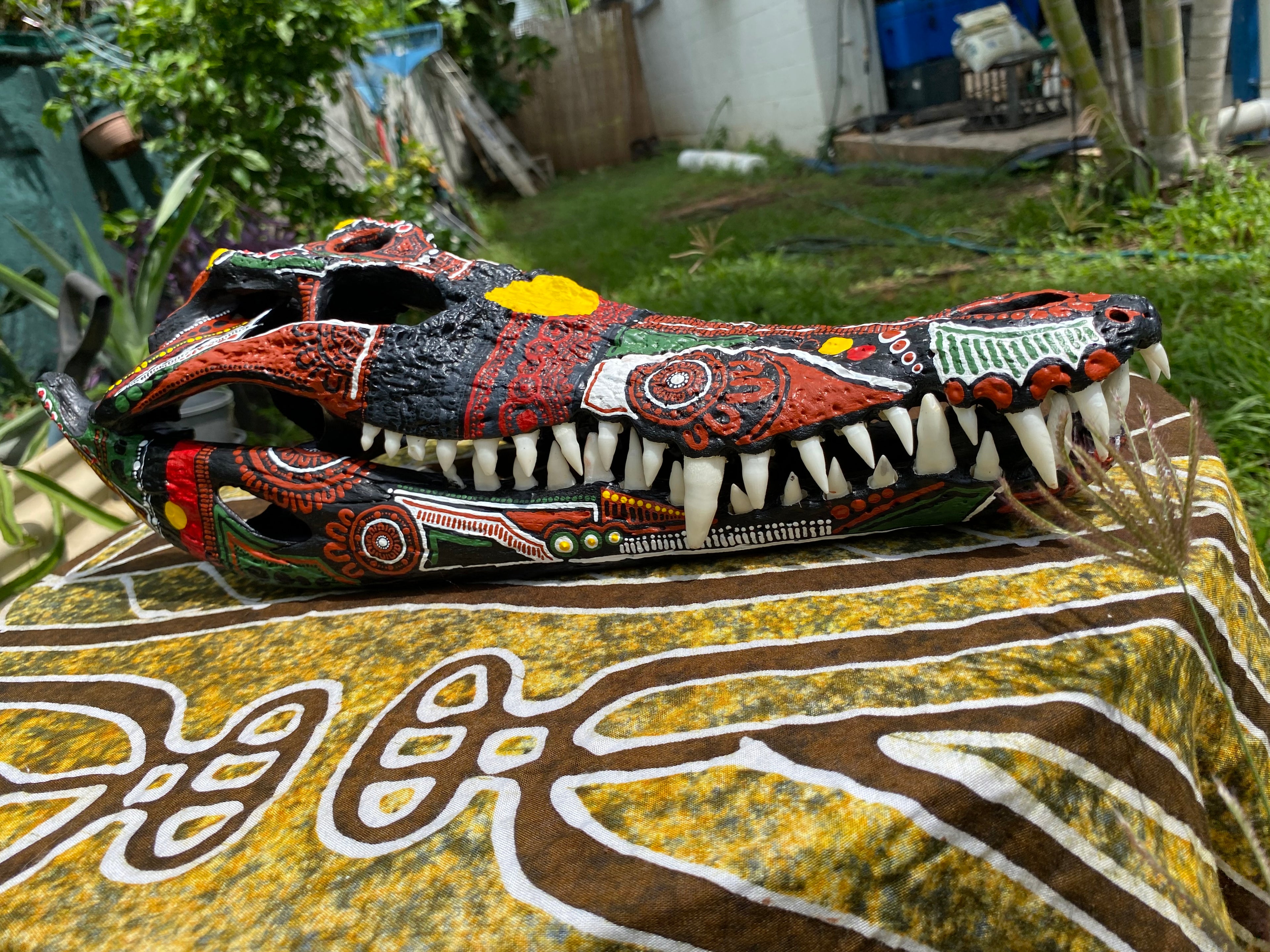 Commission Crocodile Skull; Aboriginal Flag