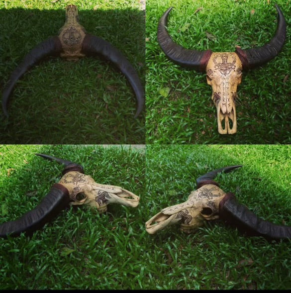 NT Buffalo Skull Carving
