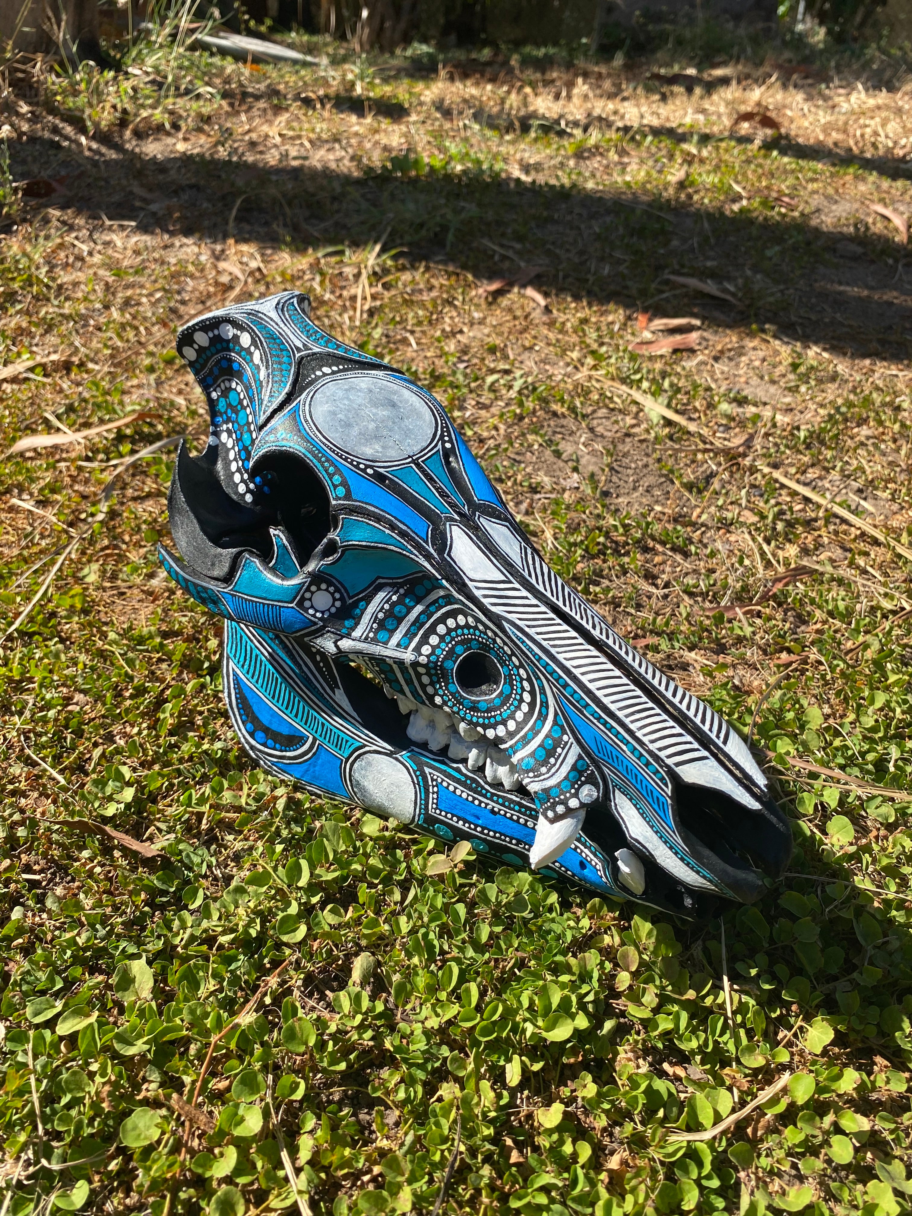 Pig Skull Painting; Eclipse